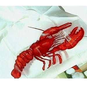 NWT/ CookingLightDISPOSABLE Seafood Bibs[ Set of 4]